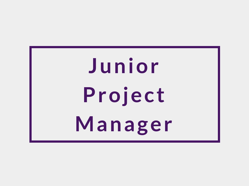 junior-project-manager-job-description-velvet-jobs